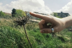 La Creación