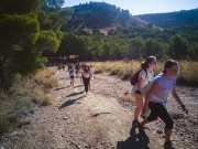 Excursión a Los Cerros 2018-02