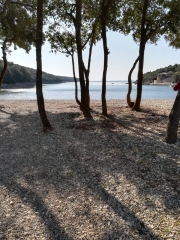 IMG-20190401-WA0002