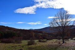 Paseo por Cardoso