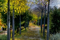 Paseo por el campo