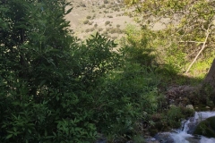 Inmersion_21-06